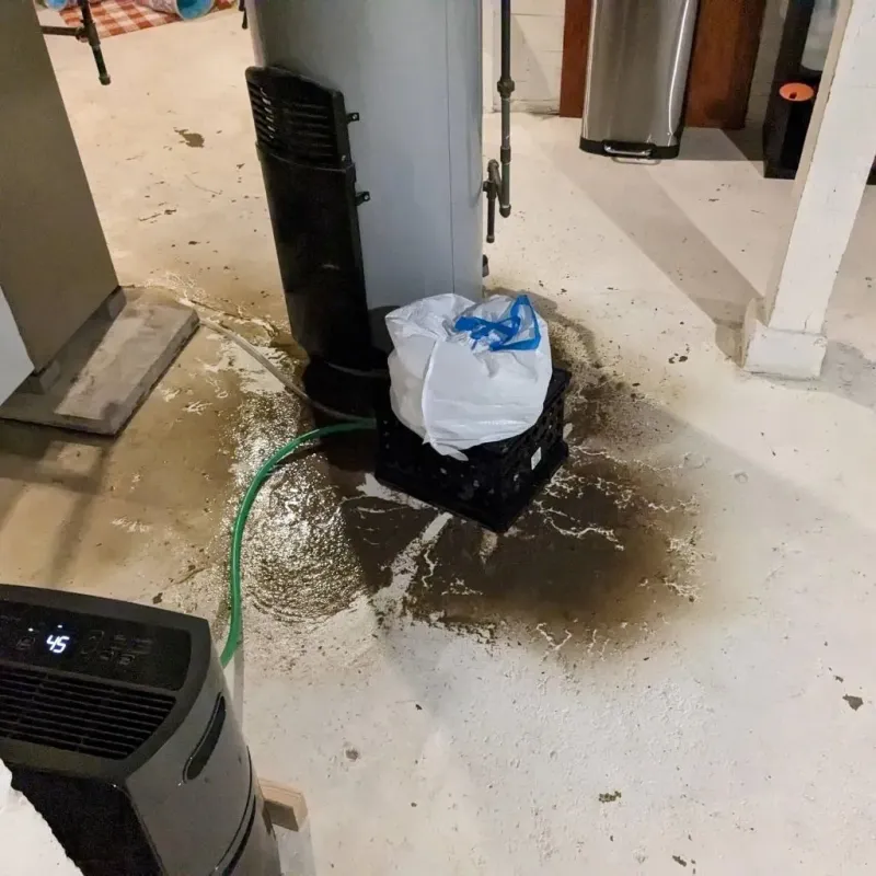 Sewage Backup Cleanup Service in Naguabo, PR